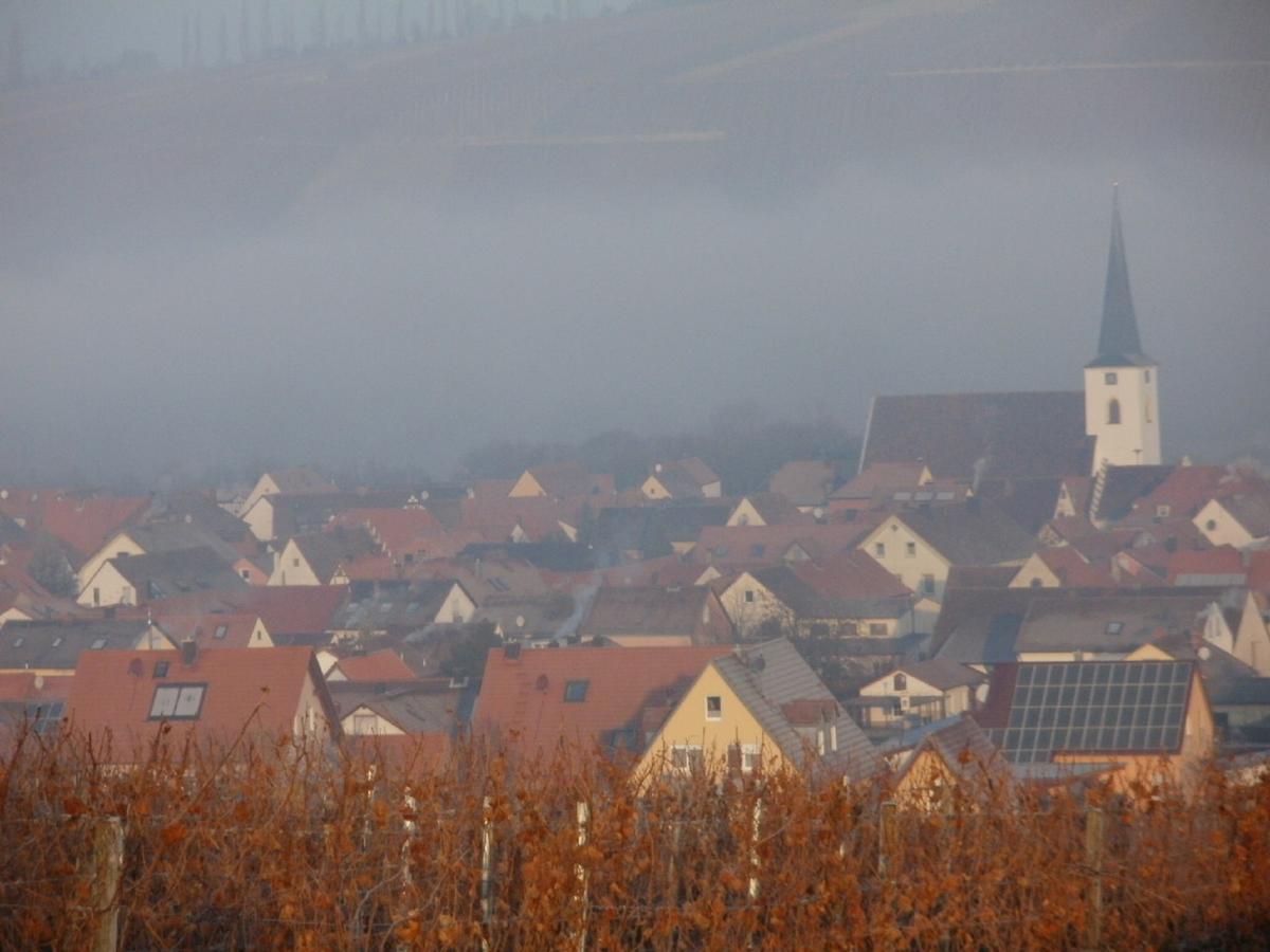 Gaestehof - Weinbau Saeger Nordheim am Main Екстериор снимка