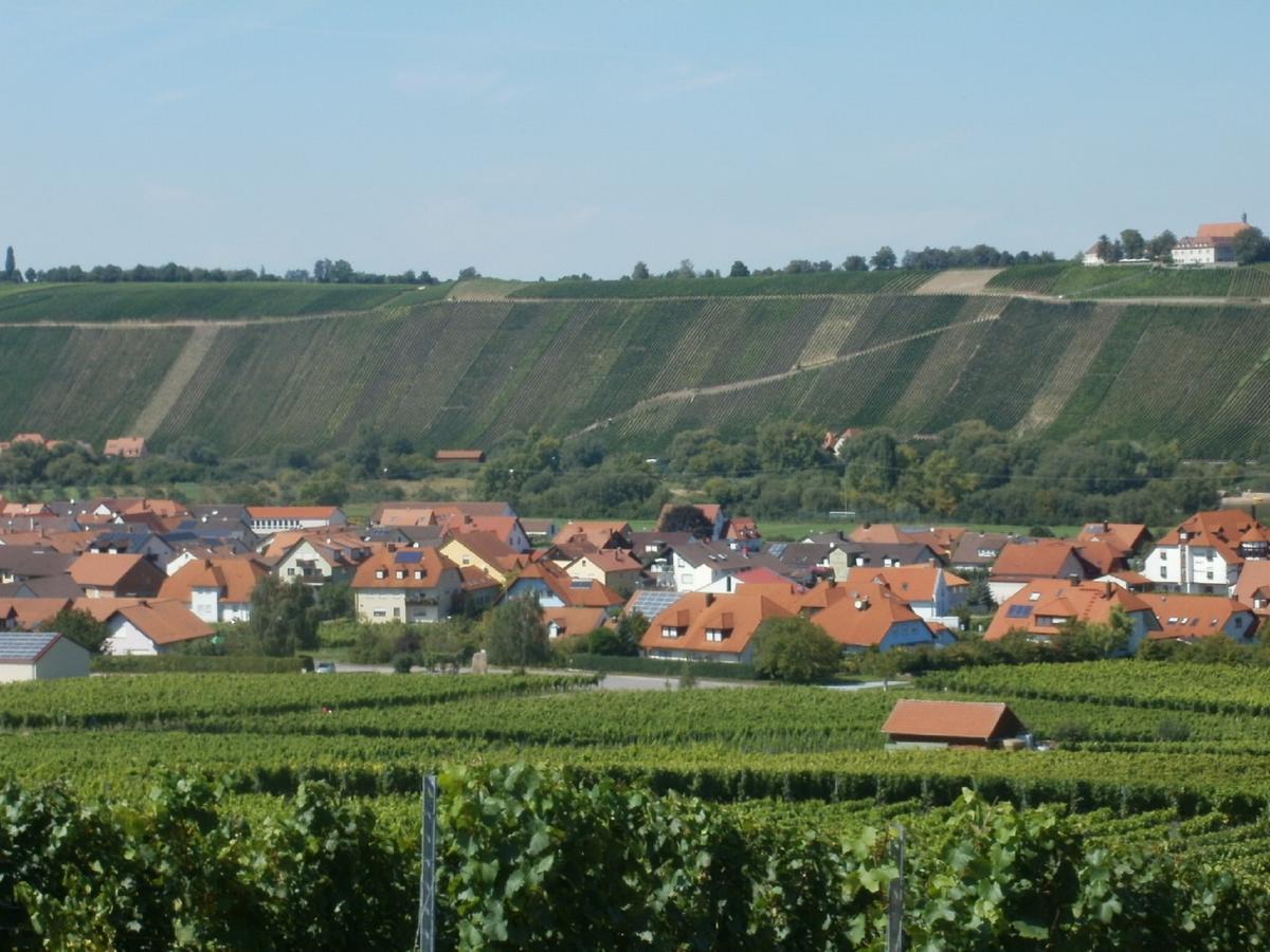 Gaestehof - Weinbau Saeger Nordheim am Main Екстериор снимка