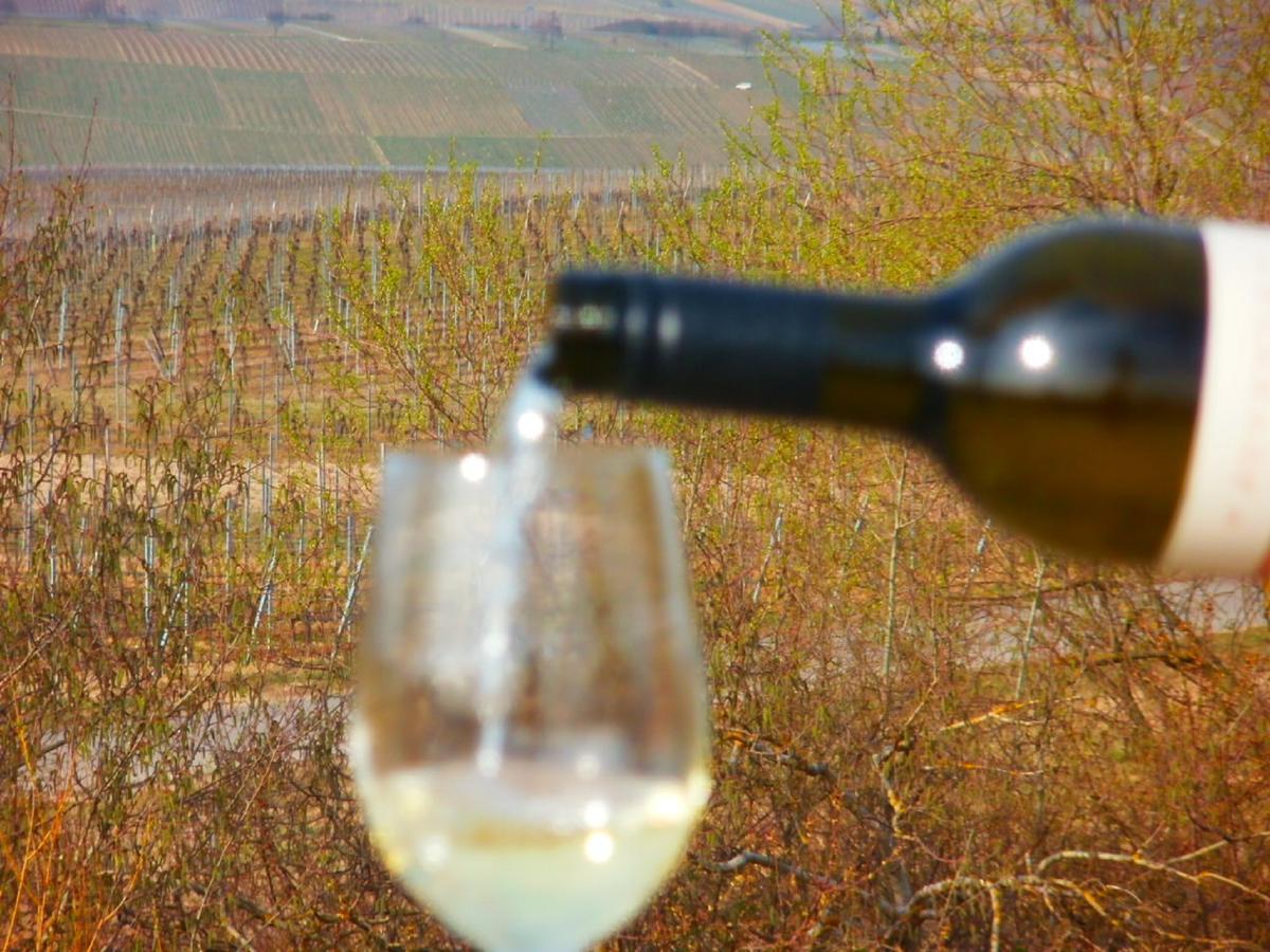 Gaestehof - Weinbau Saeger Nordheim am Main Екстериор снимка